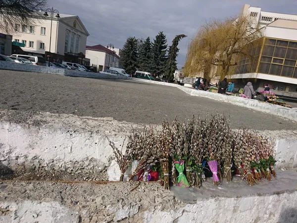 Ціни на квіти у Луцьку поки не зросли