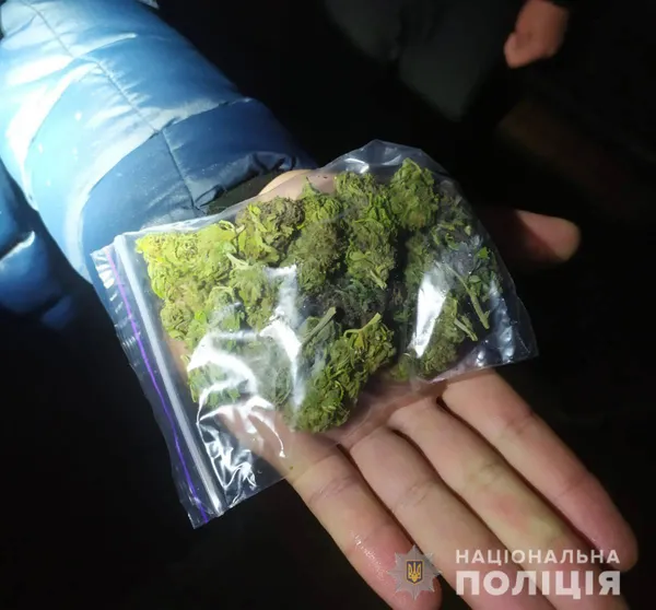Продавали 500 доз щомісяця: в Луцьку викрили групу наркоторговців (фото, відео)