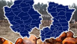 «Чорні» копачі бурштину «засвітилися» на Рівненщині: чи є подібне на Волині (відео)