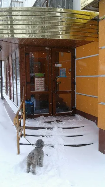 «Кому треба, той долізе»: як луцькі підприємці «чистяться» від снігу (фото)