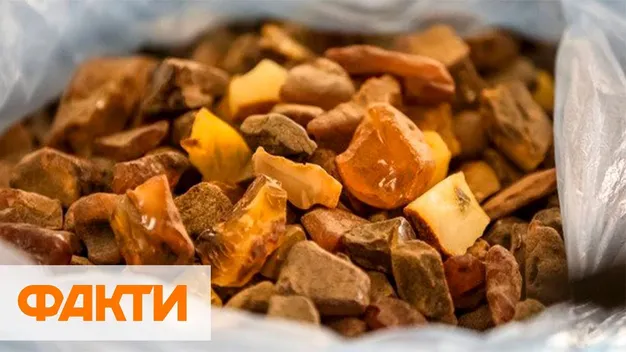Бурштинове свавілля: нелегальні копачі нищать ліси на Рівненщині (відео)