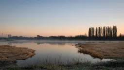 Серпанковий світанок: показали ранкову красу Гнідавського болота (фото)