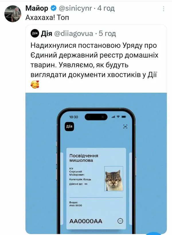 Мережу замилував новий мемний кіт Сирський: хто він такий і до чого тут Волинь