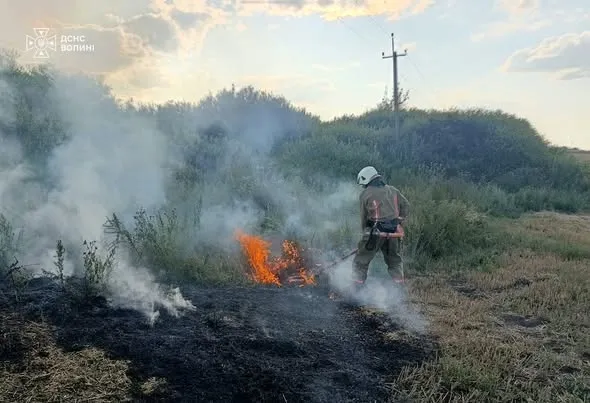 На дачному масиві під Луцьком суха трава зайнялася через скляну пляшку