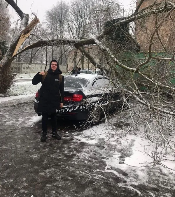 У Луцьку на автомобіль впало дерево (фото)
