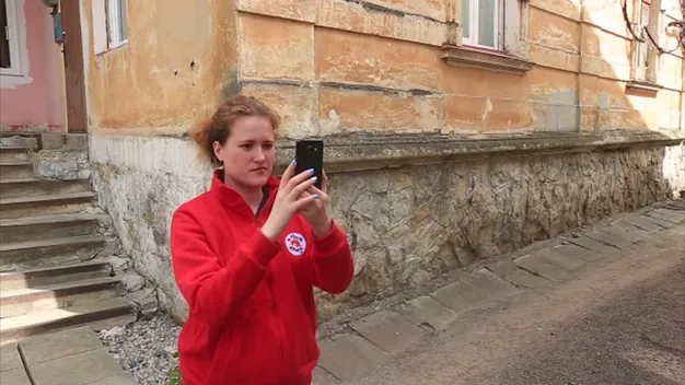 У Луцьку три дні рахуватимуть безпритульних собак: кличуть волонтерів