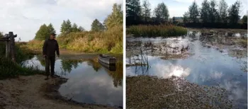 Стохід стрімко міліє: на Волині річка місцями повністю пересохла (фото)