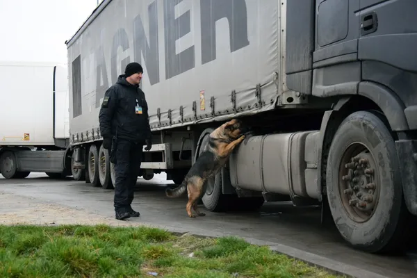Служба у спадок: як волинський прикордонник започаткував династію службових собак (фото)