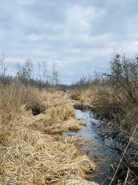 На Волині знайшли унікальну екосистему (фото)