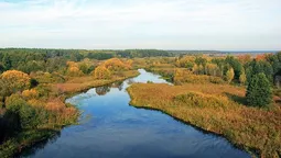 У чому унікальність парку "Прип'ять-Стохід" (відео) 