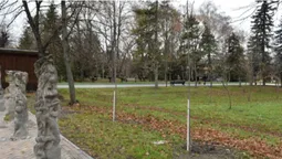 В центральному парку Луцька посадили 85 кленів та лип (фото)