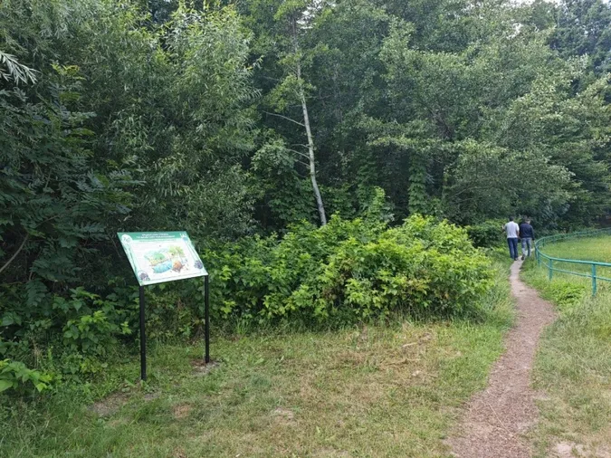 У Любешеві відкрили нову екологічну стежку (фото)