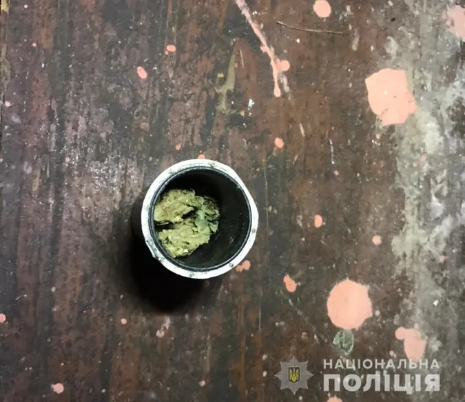 Зі спецназом і собаками: у Луцьку «накрили» нічний клуб (фото)