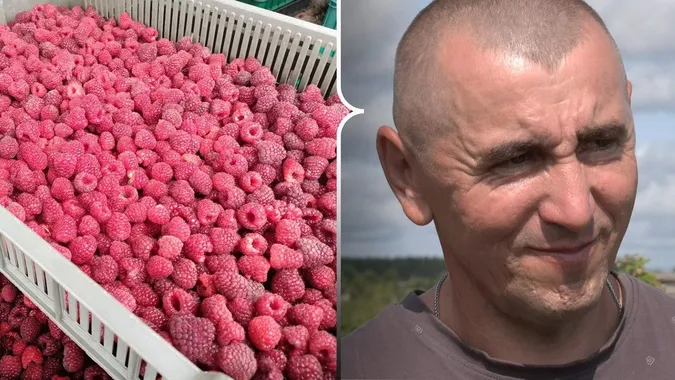 Фото: Суспільне
