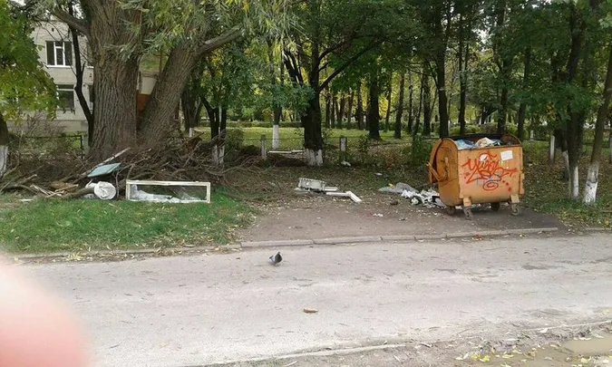 Лучан каратимуть за гілля та будівельні відходи у сміттєвих контейнерах (фото)