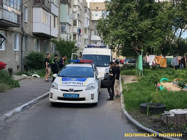 У Луцькому дворі – бійка (відео 18+)