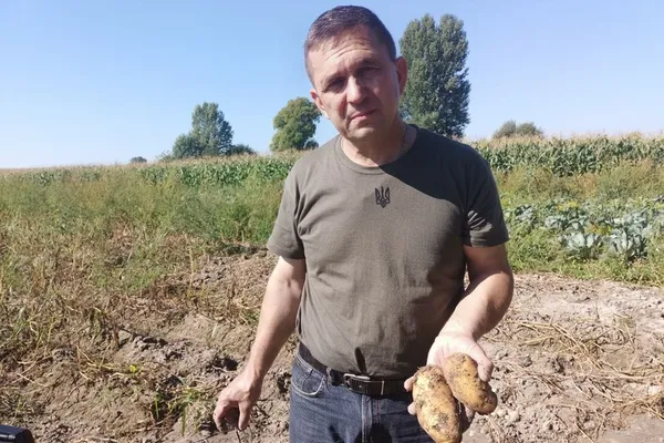 Очікують понад мільйон тонн урожаю: волиняни збирають врожай картоплі (фото)