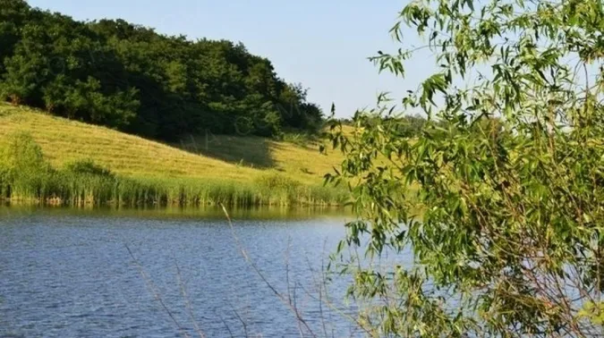 У волинського підприємця хочуть забрати землю і ставок