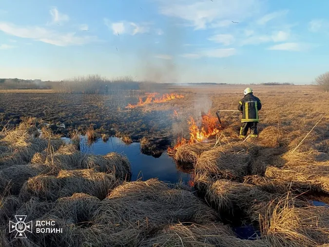 На Волині за добу вигорів понад гектар землі: рятувальники назвали ймовірну причину (фото)