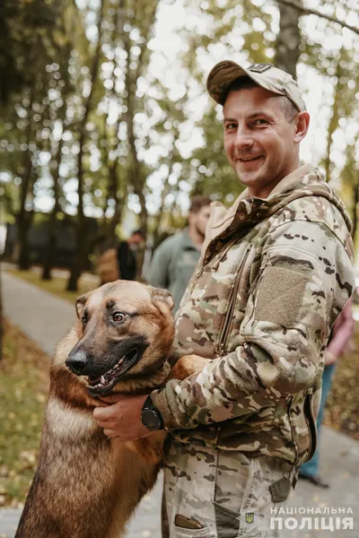 На Волині собаки «лікували» поранених воїнів (фото)