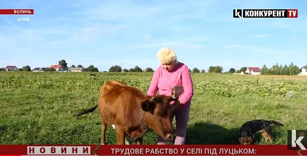 Трудове рабство у селі під Луцьком: суд нарешті допитав першого потерпілого (відео)