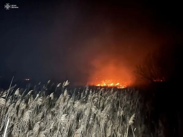 Десь – сніг, а десь – палають вогняні стовпи: на Волині за добу погасили 3 пожежі