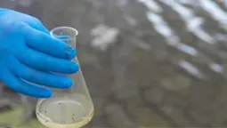 У Ковельське водосховище скидають нечистоти: інспекція перевіряє водойму (фото)