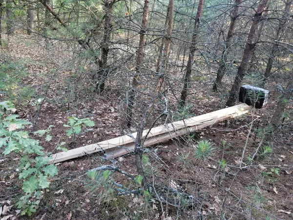 На Волині за  добу намагалися переправити дві контрабанди до Польщі (фото)