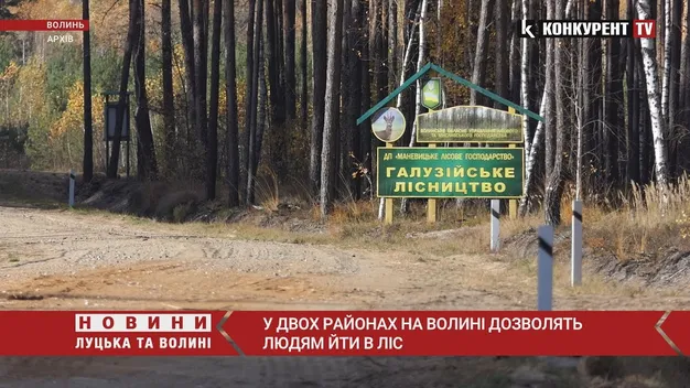 На Волині людям дозволять ходити в ліс, але не всім (відео)