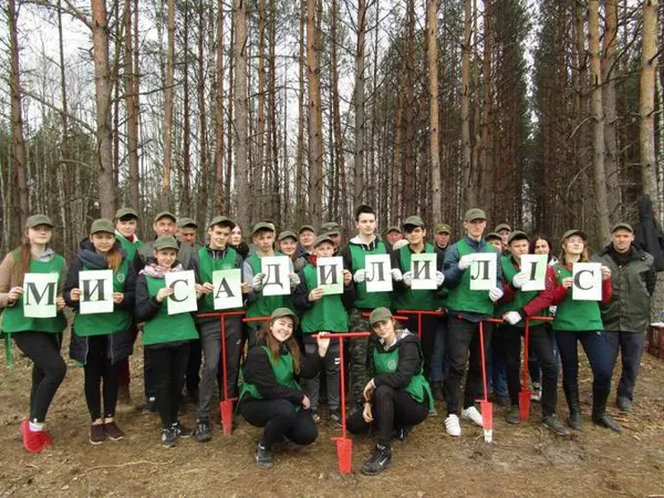 На Волині створили 10 гектарів нових лісів (фото)