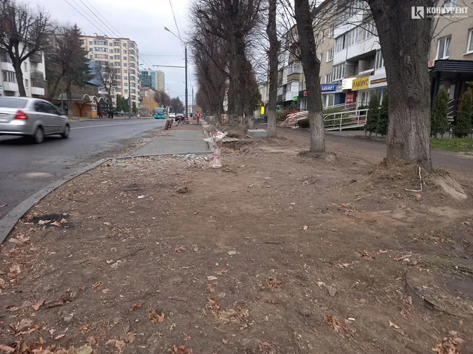 Поребрики та гідранти: що коїться на проспекті Волі у Луцьку (фото)