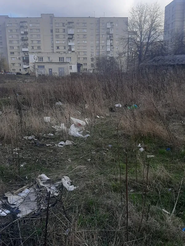 Не моє сміття, але моя планета: луцька школярка започаткувала корисний челендж (фото)