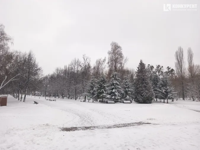 Сніжно і безлюдно: зима у Центральному парку Луцька (фото)