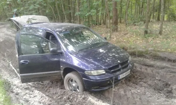 На Волині крадії лісу на «євробляхах» намагалися вивезти дуби