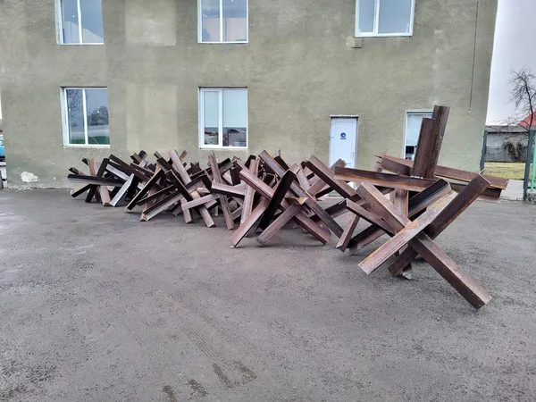 Ви котики: як у Луцьку допомагають армії