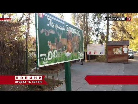 ⚡У Луцькому зоопарку сталася пожежа: загинули три мавпи (відео)