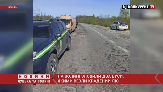 На автодорозі Луцьк – Любешів – Дольськ два дні поспіль ловили крадіїв лісу (фото, відео)