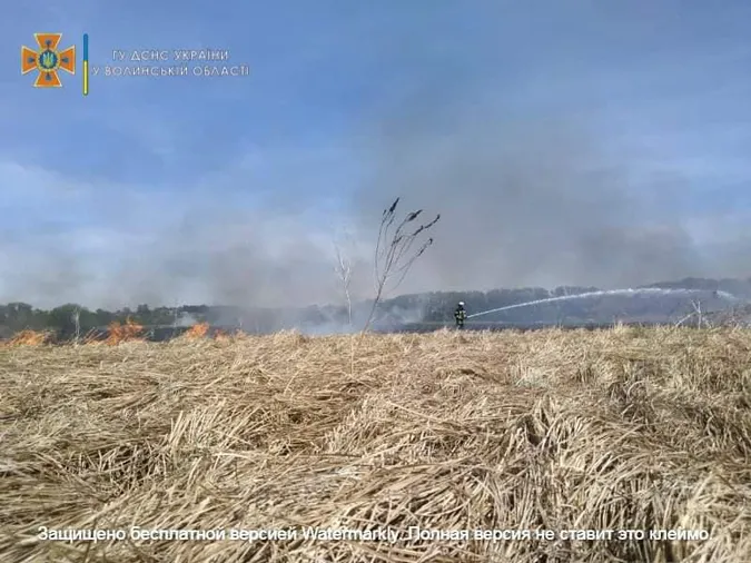 За день – три пожежі: рятувальники закликають волинян не палити траву (фото)