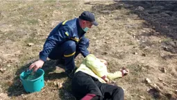 Знепритомніла від диму: на Волині рятували жінку, яка спалювала траву (фото, відео)