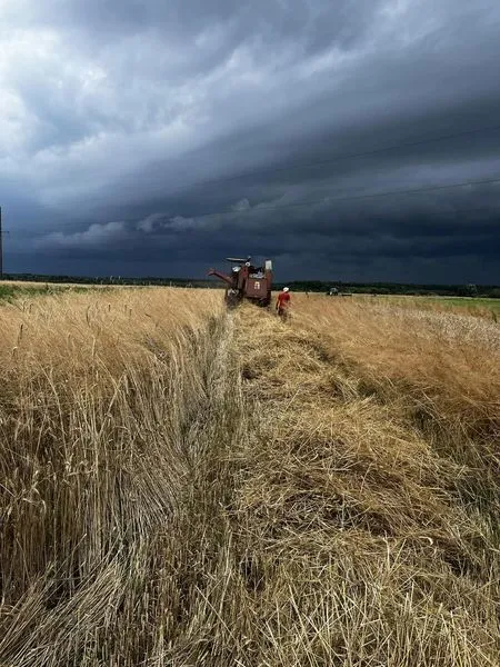 Загрозливо нависло: в мережі показали небо на Волині перед грозою (фото)