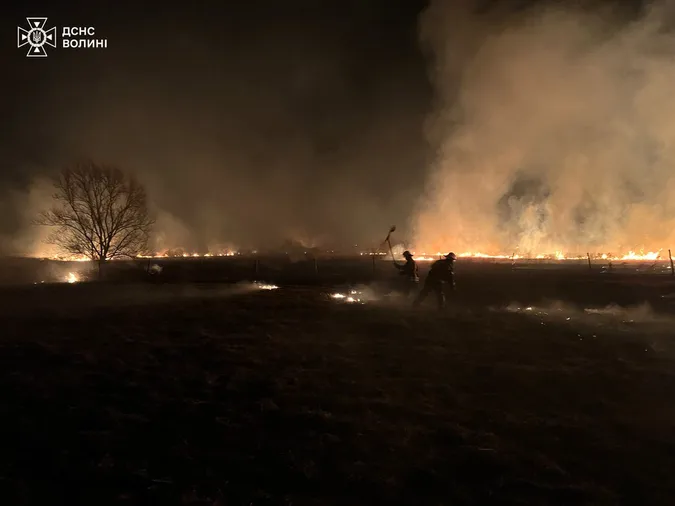 На Волині через людську недбалість вигоріли понад 5 гектарів поля (фото)