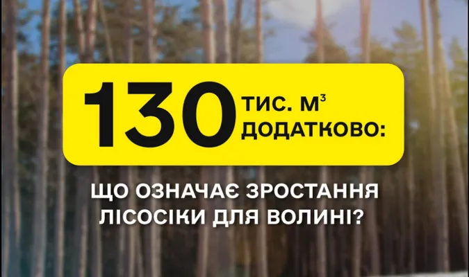 На Волині на 130 тисяч «кубів» зросла лісосіка