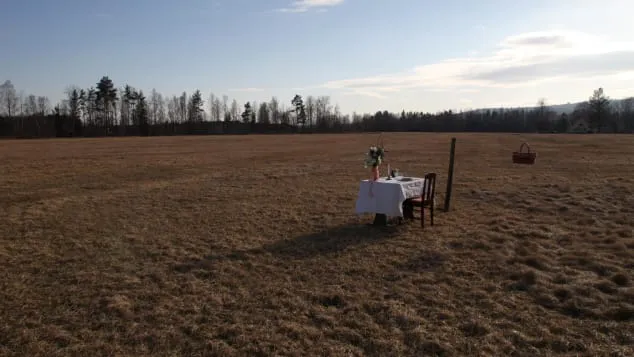 Посеред поля: у Швеції відкрили ресторан для одного гостя (фото)