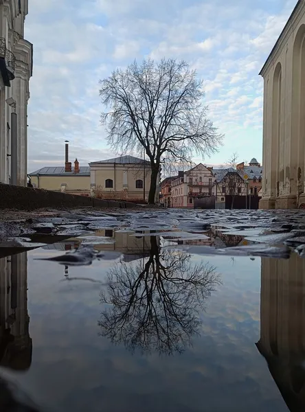У мережі показали неповторні світлини «віддзеркаленого» Луцька (фото)