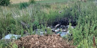 На Волині виявили стихійне сміттєзвалище просто посеред поля (фото)