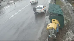 У Луцьку відеокамери зловили водія, який нагадив біля смітників (відео)