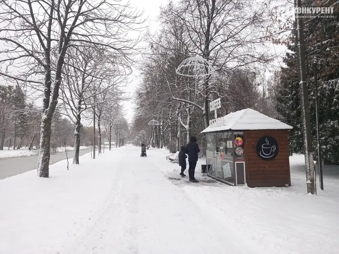 Сніжно і безлюдно: зима у Центральному парку Луцька (фото)