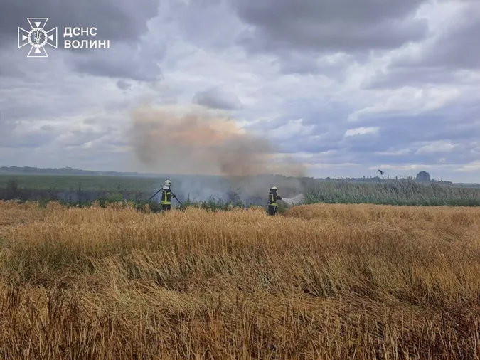 Балкон, будинок та гектари сухостою: як на Волині рятувальники гасили пожежі (фото)