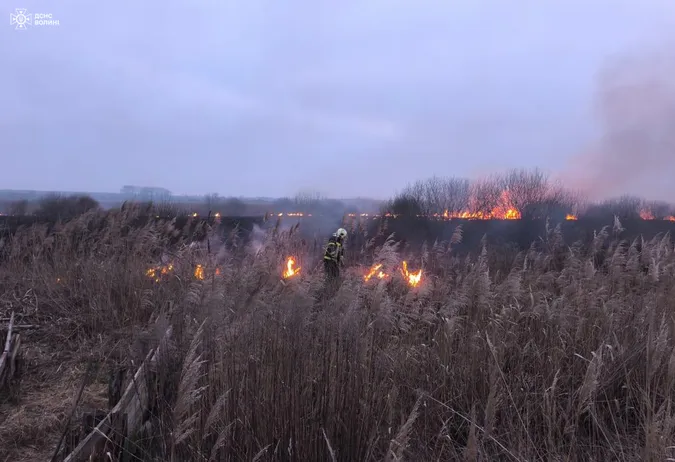 На Волині невідомі спалили майже два гектари сухої трави (фото)