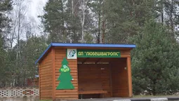 Волинські лісівники встановили зупинки на міжнародній трасі (фото)